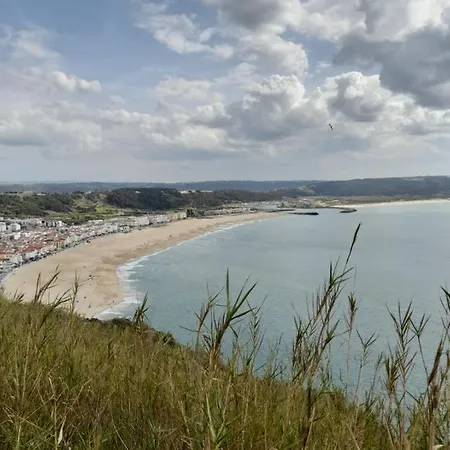 아파트 A Casinha Da Aguieira Na Lands Hause L6